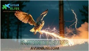 electrocution effects