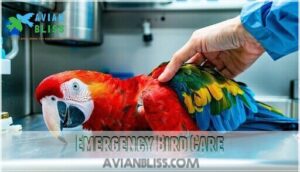 emergency bird care