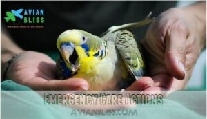 emergency care actions