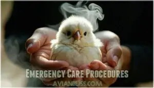 emergency care procedures