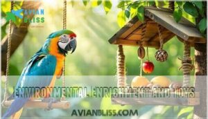 environmental enrichment and toys
