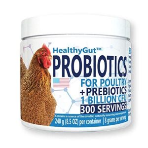 Equa Holistics HealthyGut Probiotics for B07TSL55B5