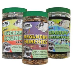 Exotic Nutrition Dried Insect 3 B073QVJ873