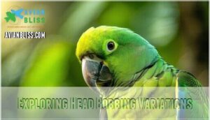 exploring head bobbing variations