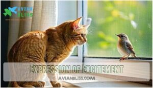 expression of excitement