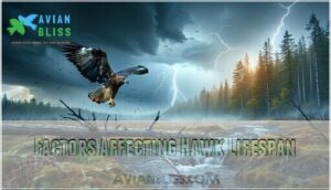 factors affecting hawk lifespan