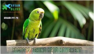 factors behind head movement