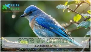 feather care maintenance feather care maintenance