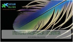 feather functions benefits feather functions benefits