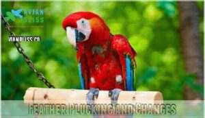 feather plucking and changes