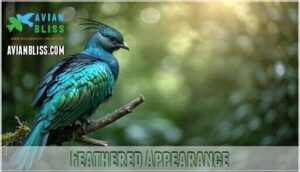 feathered appearance