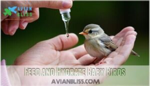 feed and hydrate baby birds