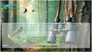 field of view and its importance field of view and its importance