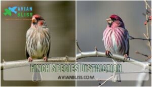 finch species distinction