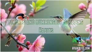 finches and hummingbirds mating habits