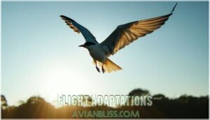 flight adaptations