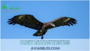 flight characteristics