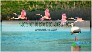 florida birding locations