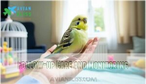 follow-up care and monitoring