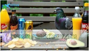 foods to avoid feeding pigeons