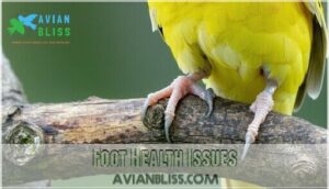 foot health issues