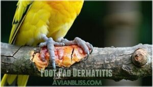 foot pad dermatitis
