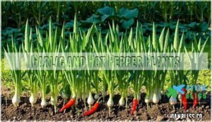 garlic and hot pepper plants