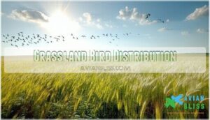grassland bird distribution