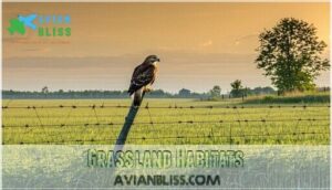 grassland habitats