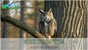 great horned owls