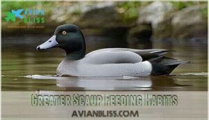 greater scaup feeding habits