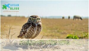 ground-dwelling owls