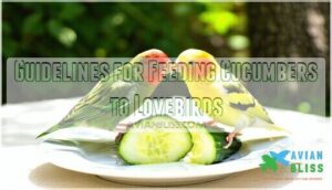 guidelines for feeding cucumbers to lovebirds