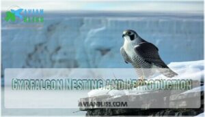 gyrfalcon nesting and reproduction