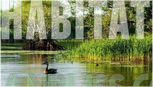 habitat