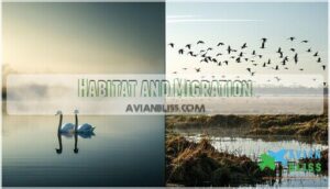 habitat and migration