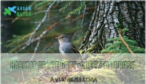 habitat of the gray-cheeked thrush