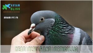 head tilting and torticollis