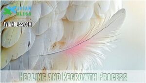 healing and regrowth process