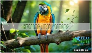 healing time factors