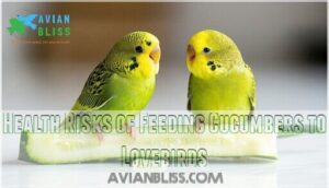 health risks of feeding cucumbers to lovebirds