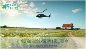 helicopter surveillance helicopter surveillance