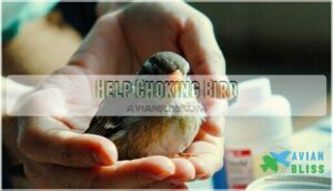help choking bird