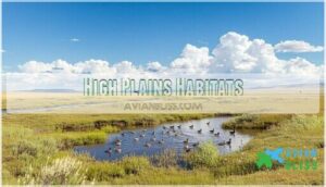 high plains habitats