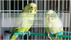 hormonal changes and breeding behavior