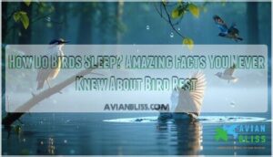 how do birds sleep