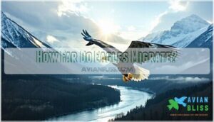 how far do eagles migrate