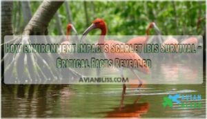 how is the environment important to the scarlet ibis survival
