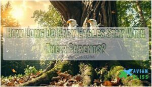 how long do baby eagles stay with their parents