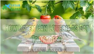 how often can lovebirds eat tomatoes